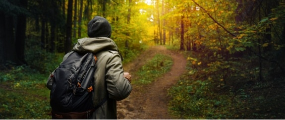 Person with a backpack walking along a forest trail