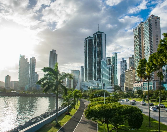 Roads next to palm trees with a city with skyscrapers in background