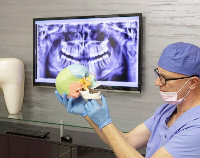 Dentist holding a model of the skull in front of a patient